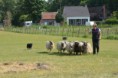/album/fotogalerij/wwwdsc-0161-jpg/