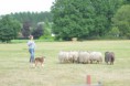 /album/fotogalerij/wwwdsc-0168-jpg/