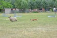 /album/fotogalerij/wwwdsc-0170-jpg/