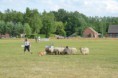 /album/fotogalerij/wwwdsc-0171-jpg/