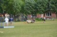 /album/fotogalerij/wwwdsc-0173-jpg/