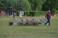 /album/fotogalerij/wwwdsc-0174-jpg/