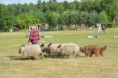 /album/fotogalerij/wwwdsc-0175-jpg/