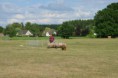 /album/fotogalerij/wwwdsc-0176-jpg/