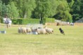 /album/fotogalerij/wwwdsc-0182-jpg/