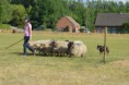 /album/fotogalerij/wwwdsc-0183-jpg/