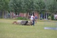 /album/fotogalerij/wwwdsc-0185-jpg/