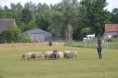 /album/fotogalerij/wwwdsc-0187-jpg/