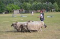 /album/fotogalerij/wwwdsc-0188-jpg/