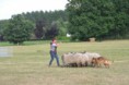 /album/fotogalerij/wwwdsc-0189-jpg/