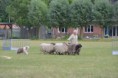 /album/fotogalerij/wwwdsc-0191-jpg/