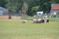 /album/fotogalerij/wwwdsc-0193-jpg/