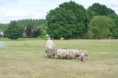 /album/fotogalerij/wwwdsc-0194-jpg/