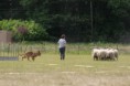 /album/stuikertrial-2017-traditioneel/www-img-0061-jpg/
