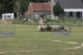 /album/stuikertrial-2017-traditioneel/www-img-0076-jpg/