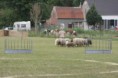 /album/stuikertrial-2017-traditioneel/www-img-0077-jpg/