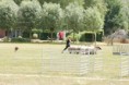 /album/stuikertrial-2017-traditioneel/www-img-0131-jpg/