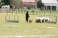 /album/stuikertrial-2017-traditioneel/www-img-0134-jpg/