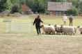 /album/stuikertrial-2017-traditioneel/www-img-0141-jpg/