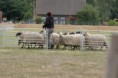 /album/stuikertrial-2017-traditioneel/www-img-0149-jpg/