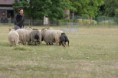 /album/stuikertrial-2017-traditioneel/www-img-0152-jpg/