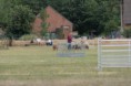 /album/stuikertrial-2017-traditioneel/www-img-0157-jpg/