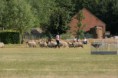 /album/stuikertrial-2017-traditioneel/www-img-0167-jpg/