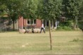 /album/stuikertrial-2017-traditioneel/www-img-0169-jpg/