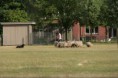 /album/stuikertrial-2017-traditioneel/www-img-0170-jpg/