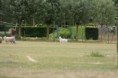 /album/stuikertrial-2017-traditioneel/www-img-9641-jpg/