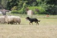 /album/stuikertrial-2017-traditioneel/www-img-9791-jpg/
