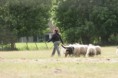 /album/stuikertrial-2017-traditioneel/www-img-9794-jpg/
