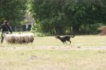 /album/stuikertrial-2017-traditioneel/www-img-9795-jpg/