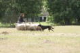 /album/stuikertrial-2017-traditioneel/www-img-9796-jpg/