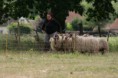 /album/stuikertrial-2017-traditioneel/www-img-9799-jpg/