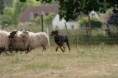 /album/stuikertrial-2017-traditioneel/www-img-9801-jpg/