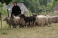 /album/stuikertrial-2017-traditioneel/www-img-9802-jpg/