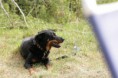 /album/stuikertrial-2017-traditioneel/www-img-9805-jpg/