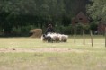 /album/stuikertrial-2017-traditioneel/www-img-9808-jpg/
