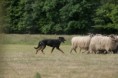 /album/stuikertrial-2017-traditioneel/www-img-9814-jpg/