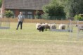 /album/stuikertrial-2017-traditioneel/www-img-9816-jpg/