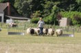 /album/stuikertrial-2017-traditioneel/www-img-9820-jpg/