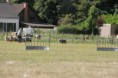 /album/stuikertrial-2017-traditioneel/www-img-9822-jpg/