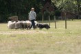 /album/stuikertrial-2017-traditioneel/www-img-9835-jpg/