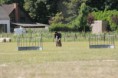 /album/stuikertrial-2017-traditioneel/www-img-9855-jpg/
