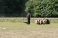 /album/stuikertrial-2017-traditioneel/www-img-9864-jpg/