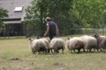 /album/stuikertrial-2017-traditioneel/www-img-9870-jpg/