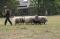 /album/stuikertrial-2017-traditioneel/www-img-9872-jpg/