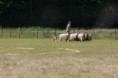 /album/stuikertrial-2017-traditioneel/www-img-9912-jpg/
