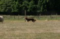 /album/stuikertrial-2017-traditioneel/www-img-9921-jpg/